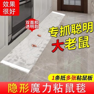 超强力粘鼠大老鼠贴捕鼠神老鼠克星透明隐形家用大号灭黏粘鼠魔毯