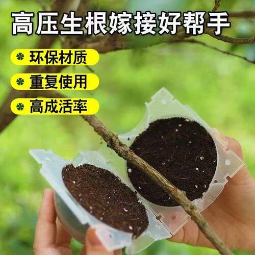植物高压繁殖盒控根器扦插嫁接