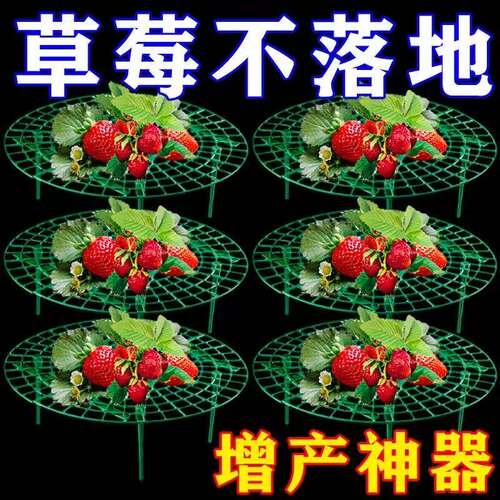 草莓支架草莓种植立体架托盘果实支撑架田园果实防烂绿植支撑架