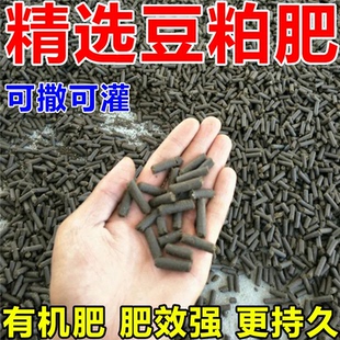 豆粕有机肥发酵腐熟菜园专用花卉园艺家庭盆栽蔬菜植物通用颗粒肥