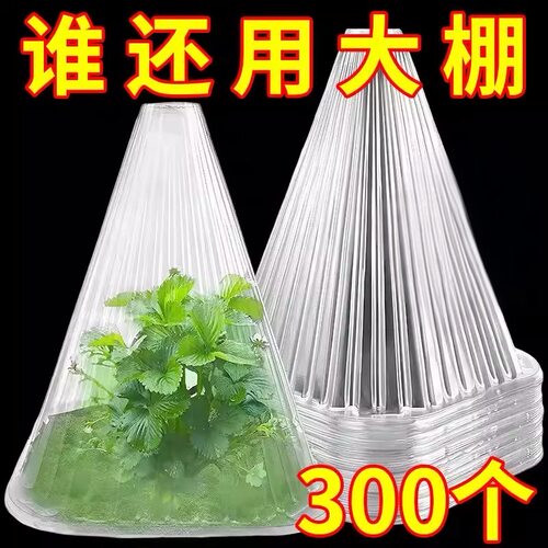 蔬菜植物罩防虫防鸟瓜苗菜苗幼