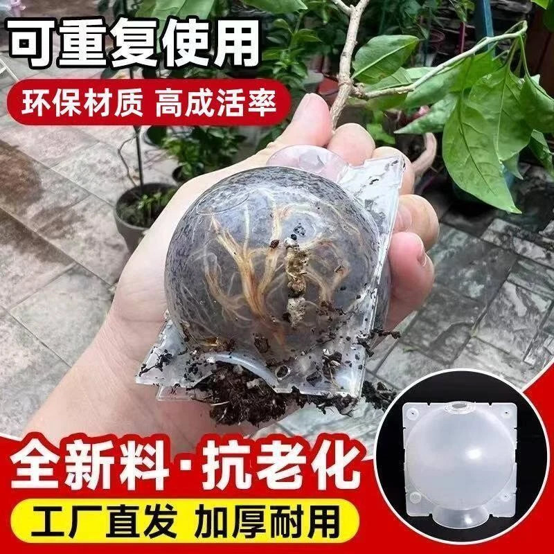 植物高压繁殖盒控根器扦插嫁接高压包生根盒枝繁殖球生根繁殖盒子