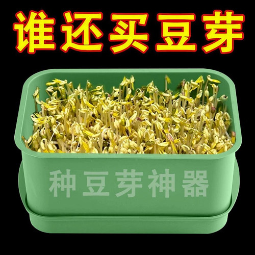 育苗盘种植发芽盆大容量豆芽专用