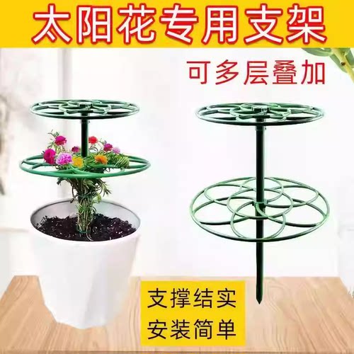太阳花架棒棒糖造型架防倒伏花架子多层蟹爪兰支撑杆植物爬藤固定