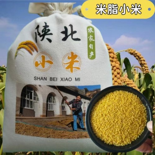 陕北榆林米脂小米农家自种2025年新黄小米油小米五谷杂粮五斤包装
