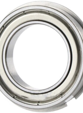 B6006 6007 6008 6009 6010 ZZNR带扣环/小径滚珠轴承