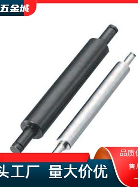 PSFGM PSSFGM  导向轴