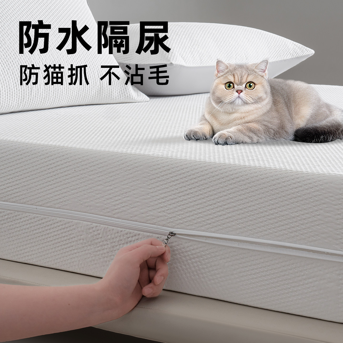 防猫尿床笠罩六面全包拉链式床垫保护罩防滑透气席梦思防尘套定制,床上用品,床笠,淘宝优惠券,粉丝福利购,淘宝优惠卷