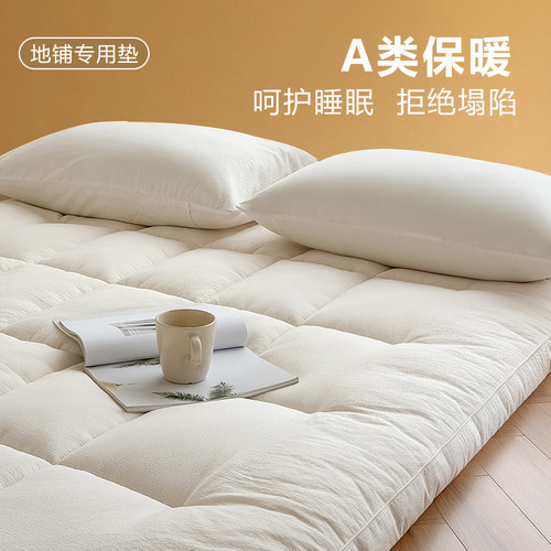 防塌地铺床垫加厚家用榻榻米床盖