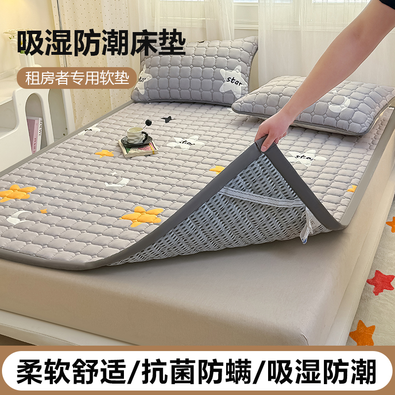 防潮防湿防霉床褥垫可机洗