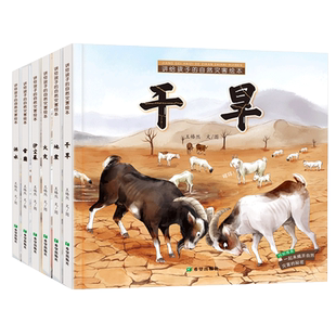 讲给孩子的自然灾害绘本 全6册干旱+洪水+火灾+雪崩+地震 沙尘暴 幼儿园阅读绘本精装4-5到6岁中大班幼儿童课外书自我保护科普绘本