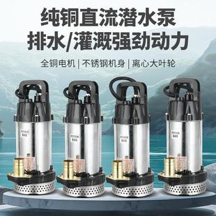 电动车专用抽水泵家用浇菜12V24V48V60V72伏纯铜电机直流潜水泵