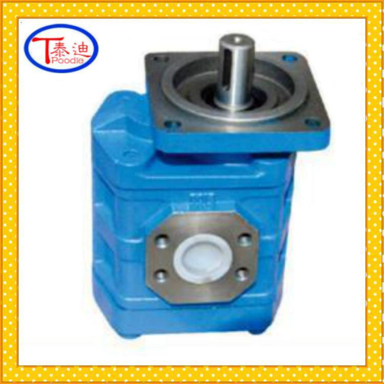 CBG2040 CBG2050 CBG2063 CBG2080-B1L CBG2100齿轮泵