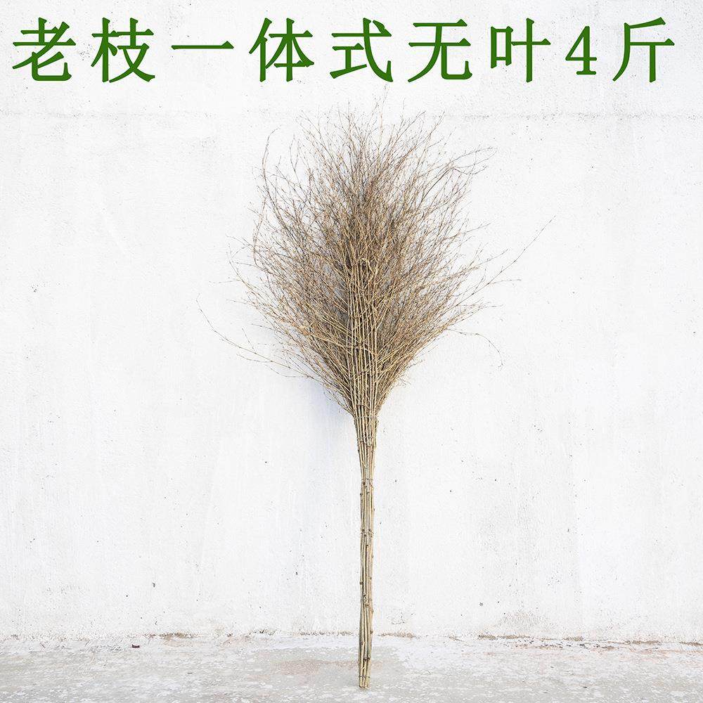 老枝一体式大扫把 当年无叶新竹枝环卫扫把家用马路扫把4斤竹扫帚,家庭/个人清洁工具,一次性抹布,淘宝优惠券,粉丝福利购,淘宝优惠卷