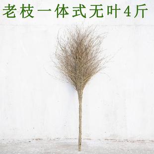 老枝一体式大扫把 当年无叶新竹枝环卫扫把家用马路扫把4斤竹扫帚