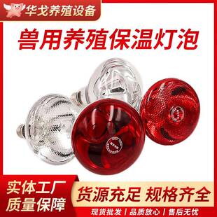 仔猪用保温灯养殖场专用加厚灯泡小鸡育雏加热烤灯兽用取暖保暖灯