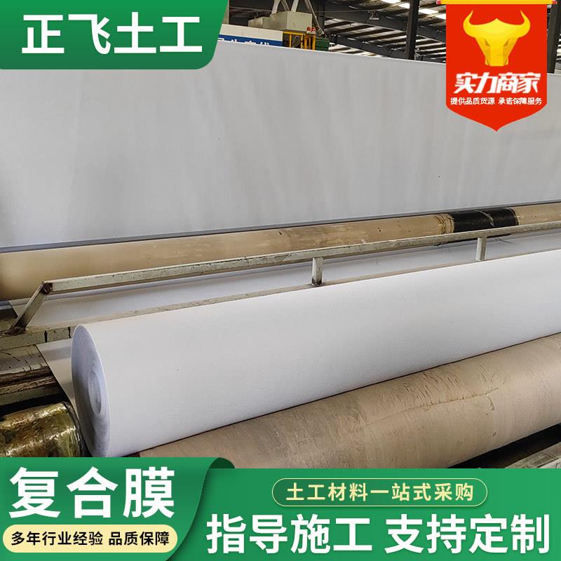 复合土工膜一布一膜防渗土工布两布一膜水库人工湖河道改造复合膜