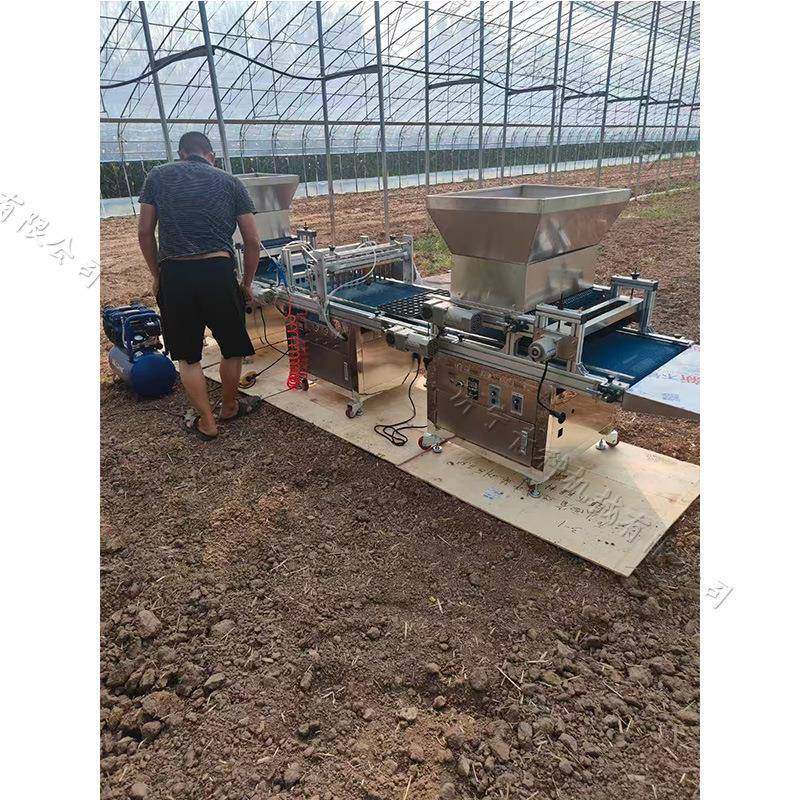 农用全自动穴盘育苗机 电动式秧苗培育设备 铺土压穴播种一体机,农机/农具/农膜,播种栽苗器/地膜机,淘宝优惠券,粉丝福利购,淘宝优惠卷