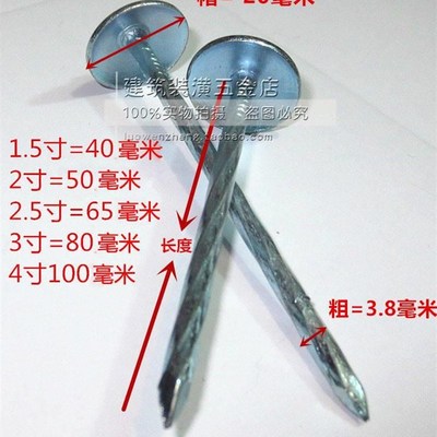 速发水泥钉钢钉特种大头石棉瓦钉瓦楞钉大头钉彩钢瓦钉图钉2