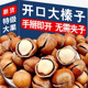 东北榛子2025新鲜坚果野生东北特产开口新货原味炒熟坚果仁旗舰店