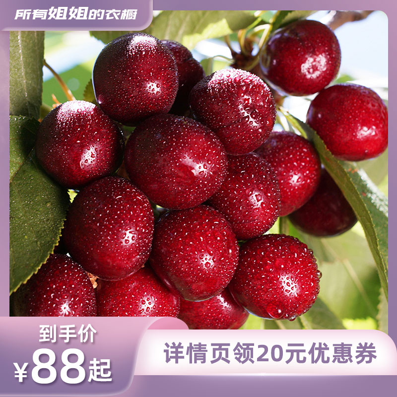 智利进口空运车厘子顺丰包邮