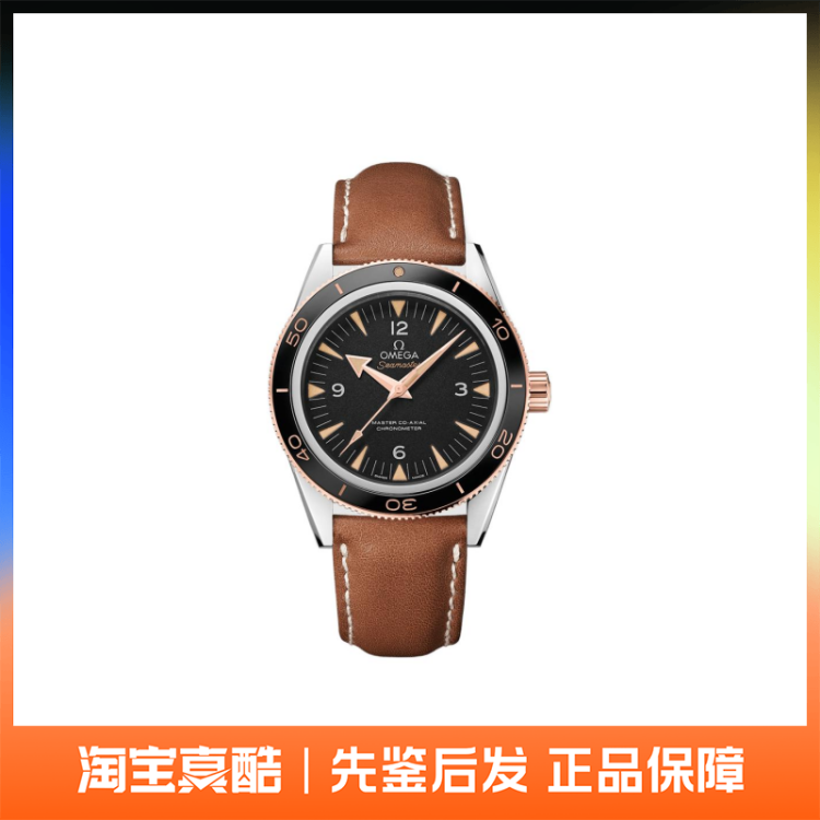 Omega欧米茄 Seamaster海马系列 41mm 233.22.41.21.01.002