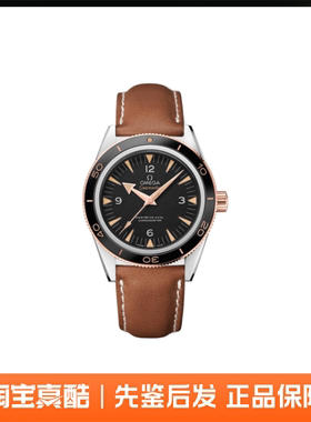 Omega欧米茄 Seamaster海马系列 41mm 233.22.41.21.01.002