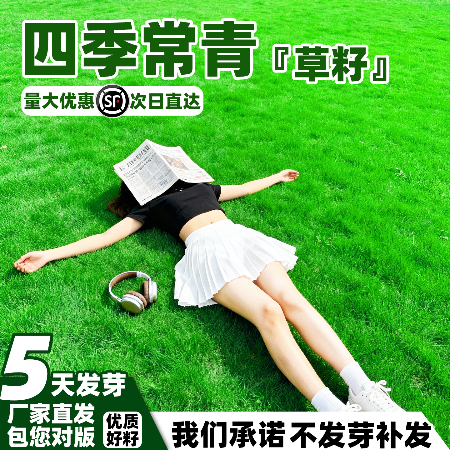 草坪草籽四季常青庭院矮生地毯草护坡狗牙根高羊茅绿化黑麦草种子