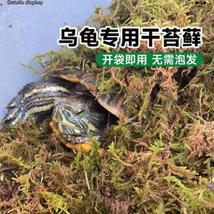 乌龟冬眠干苔藓爬宠专用苔藓冬眠的窝青苔智利水苔椰土椰砖专用土