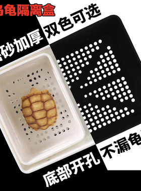 黑色白色小青乌龟发色盒小乌龟苗隔离盒鱼缸黄喉拟水龟幼龟饲养盒