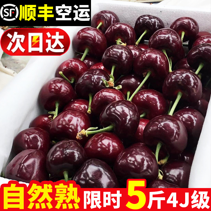 大连美早大樱桃新鲜水果包邮当季整箱礼盒5斤现货孕妇4jjjj车厘子