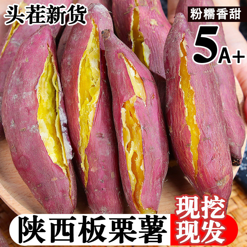 正宗板栗红薯陕西沙地蜜薯现挖新鲜番薯糖心烟薯小香薯甜山芋地瓜
