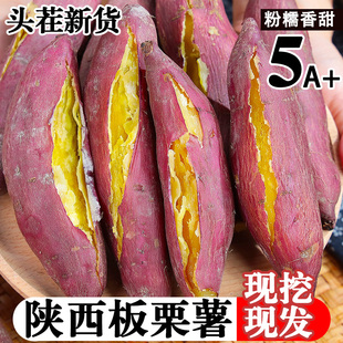 正宗板栗红薯陕西沙地蜜薯现挖新鲜番薯糖心烟薯小香薯甜山芋地瓜