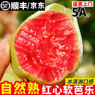 顺丰芭乐红心番石榴新鲜水果当季软糯奶油胭脂红芭乐树熟大果包邮