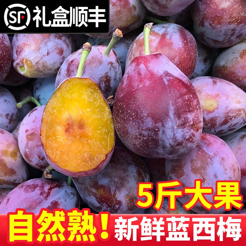 现货西梅新鲜5斤正宗蓝蜜法兰西水果当季整箱礼盒顺丰包邮甜李子3