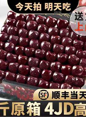 智利车厘子新鲜水果包邮当季整箱礼盒5斤孕妇3j进口5j樱桃原箱4Jj