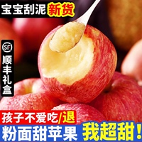 【粉面沙甜】【有水分的粉蘋果】