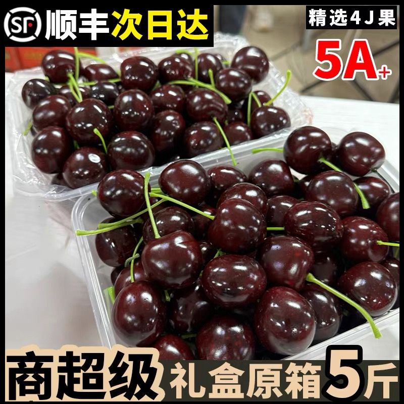 【官方力荐】【智利进口车厘子】