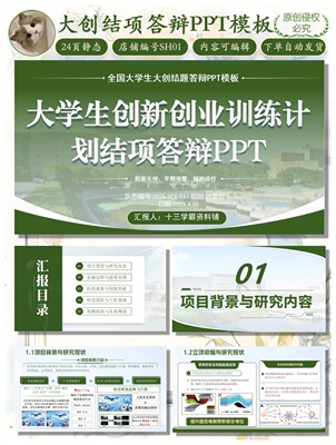 大创结题答辩PPT模版｜24页静态可编辑｜百度网盘自动发货