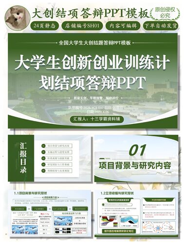 大创结题答辩PPT模版｜24页静态可编辑｜百度网盘自动发货