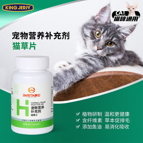 金吉瑞kingjerry猫咪化