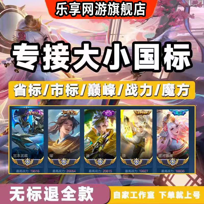 王者荣耀工作室代练打排位战力巅峰省标大小国标百星魔方效率上分