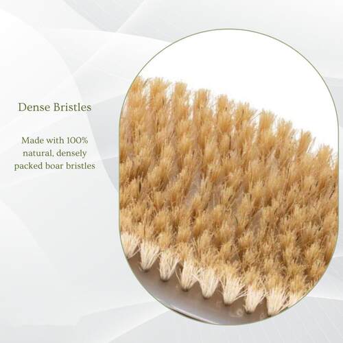 Natural Boar Bristle Body Brush Dry Brushing Back Legs Feet