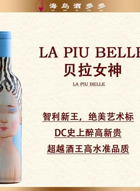 【智利红酒】新世界膜拜酒庄 VIK 维克酒庄 佳人 干红葡萄酒750ml