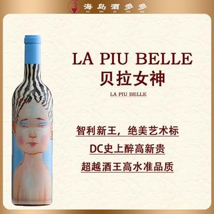 智利红酒 佳人 新世界膜拜酒庄 维克酒庄 干红葡萄酒750ml VIK