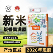 鲜稻佳正宗五常大米2025年新米现磨东北大米长粒香米10斤粳米真空