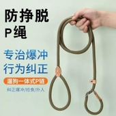 狗绳子牵引绳不勒脖训犬P链小中大型犬加长狗链子狗狗牵引绳