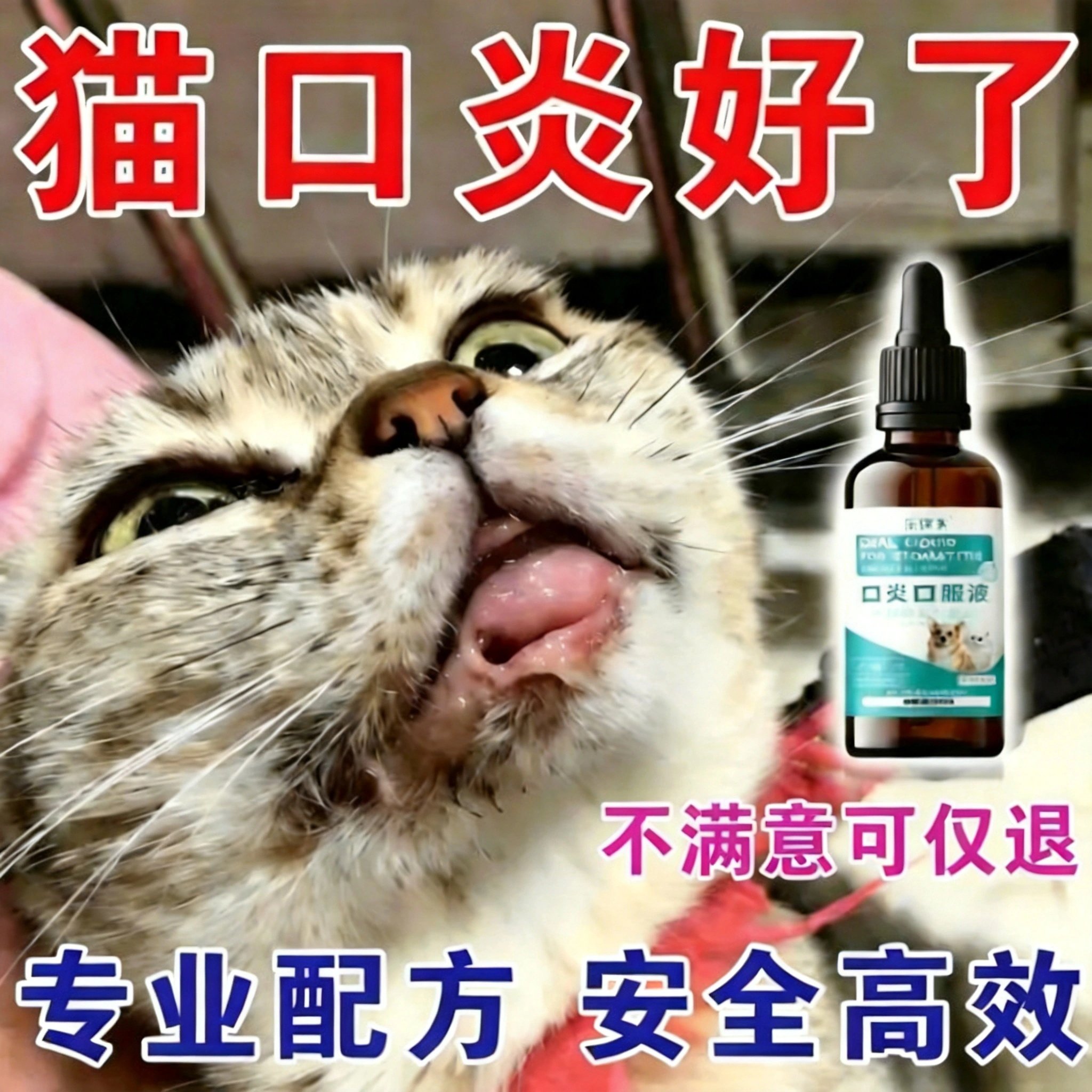 猫咪口特效猫咪炎流口水红肿口腔牙龈清洁烂嘴除臭消专用炎口服液
