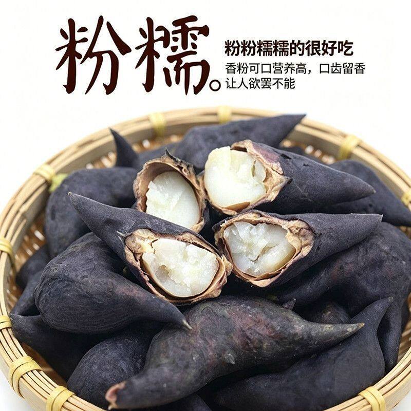 湖北新鲜老菱角新鲜带壳老棱角现摘湖北当季凌角时令水果蔬菜