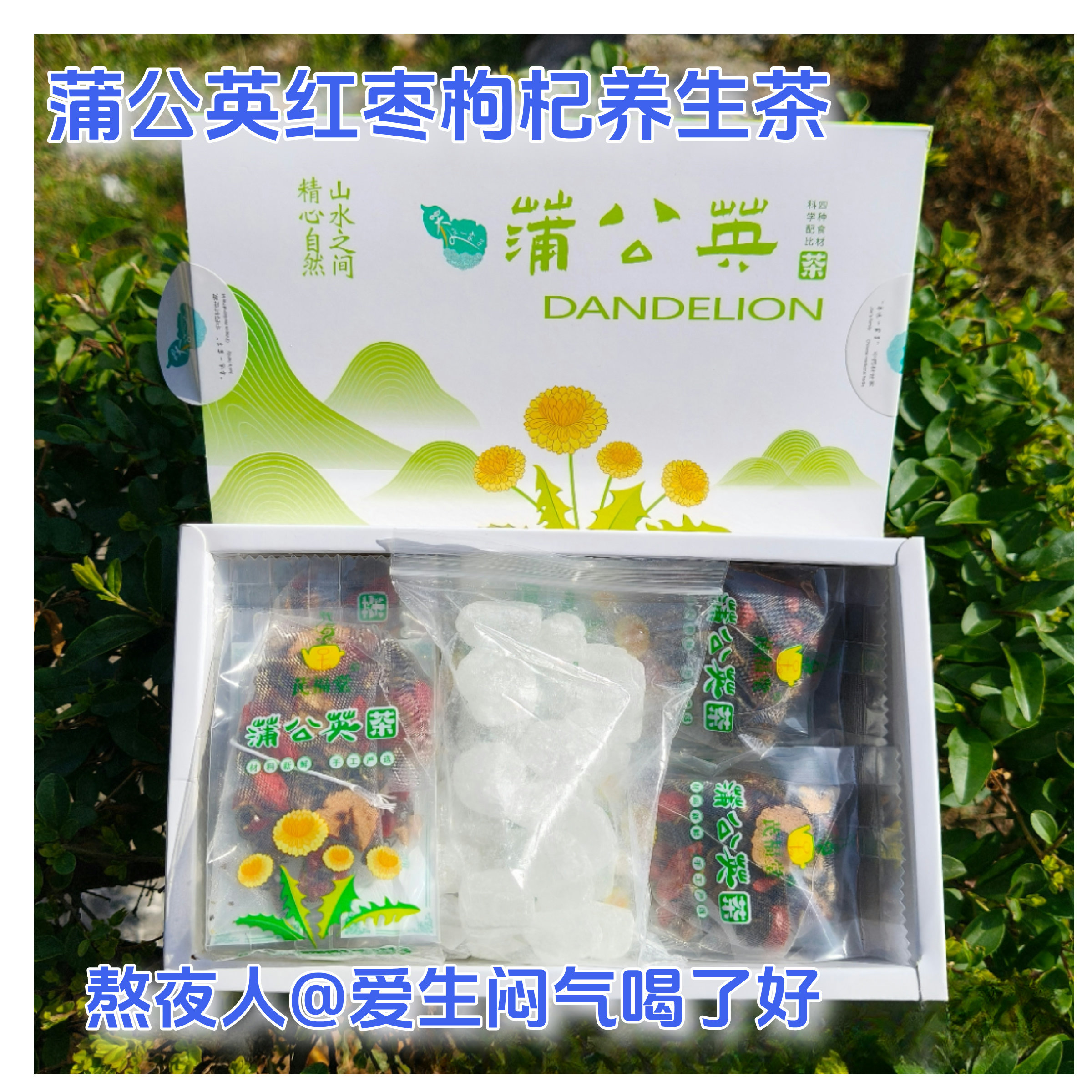 甘肃深山蒲公英根蒲公英叶红枣枸杞茶四季灭火养生茶独立包装盒装